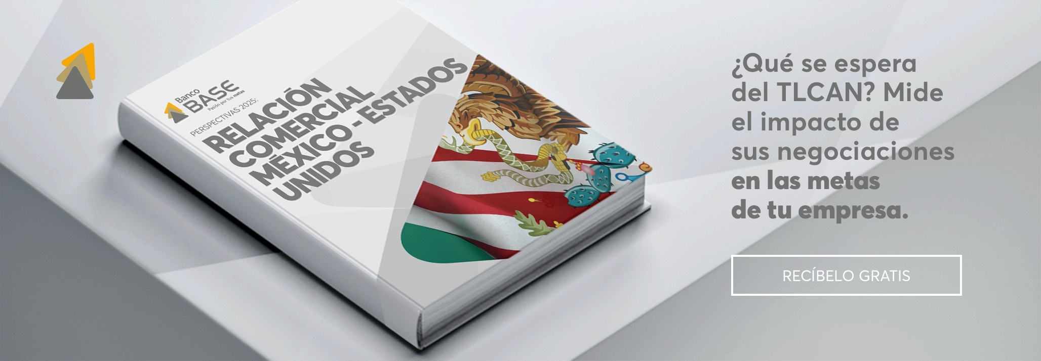 La BASE del SPID