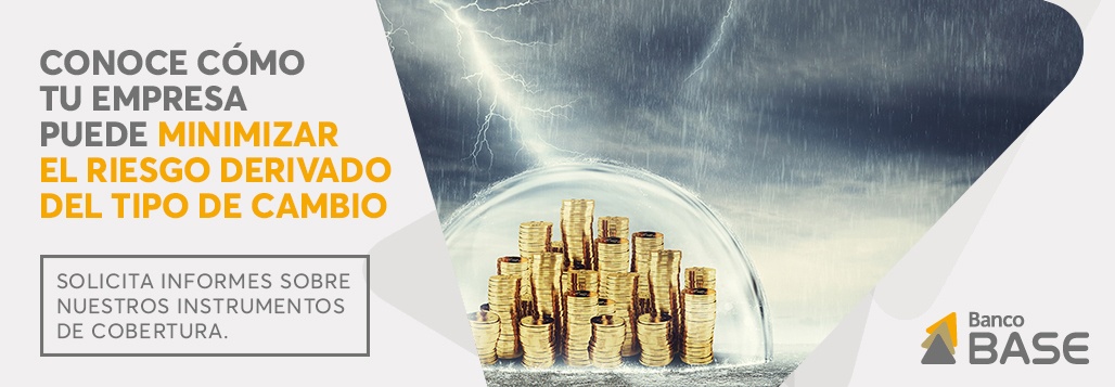 Minimiza el riesgo derivado del tipo de cambio
